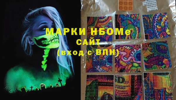 шишки Алагир