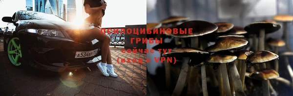 бошки Медвежьегорск