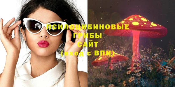 гидра Мегион