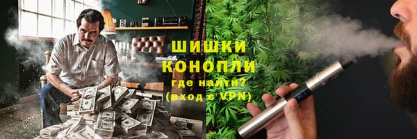 гидра Мегион