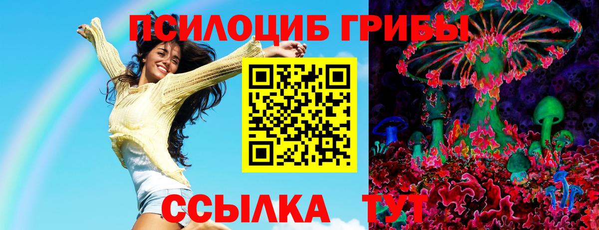 Кропоткин  Псилоцибиновые грибы Psilocybe  Вход с VPN  Псилоцибиновые грибы Psilocybine cubensis 