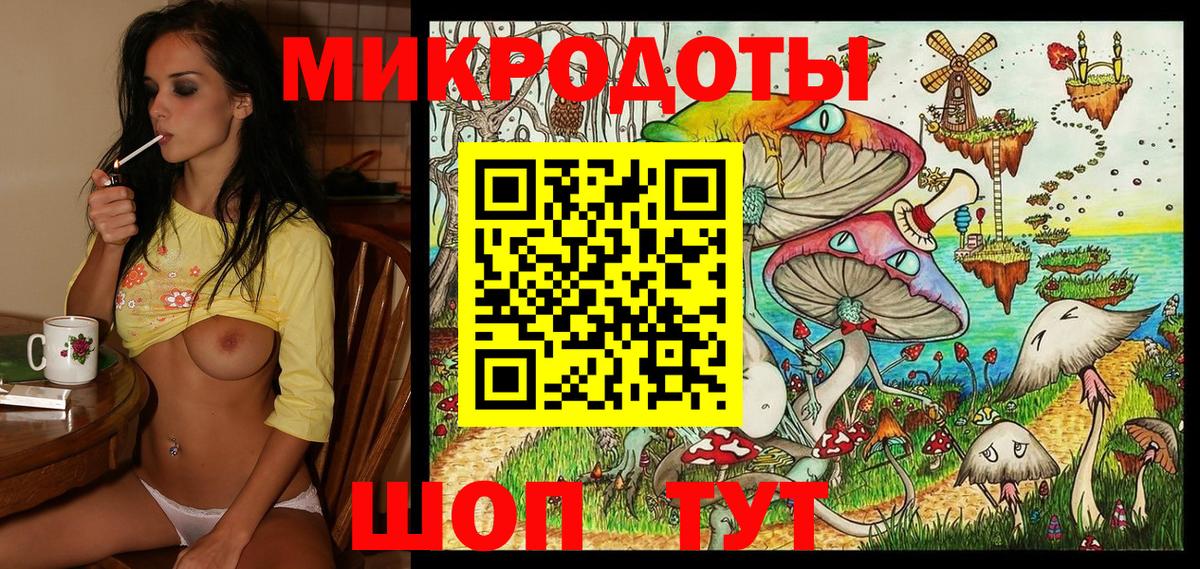 Псилоцибиновые грибы Psilocybe  Кропоткин 
